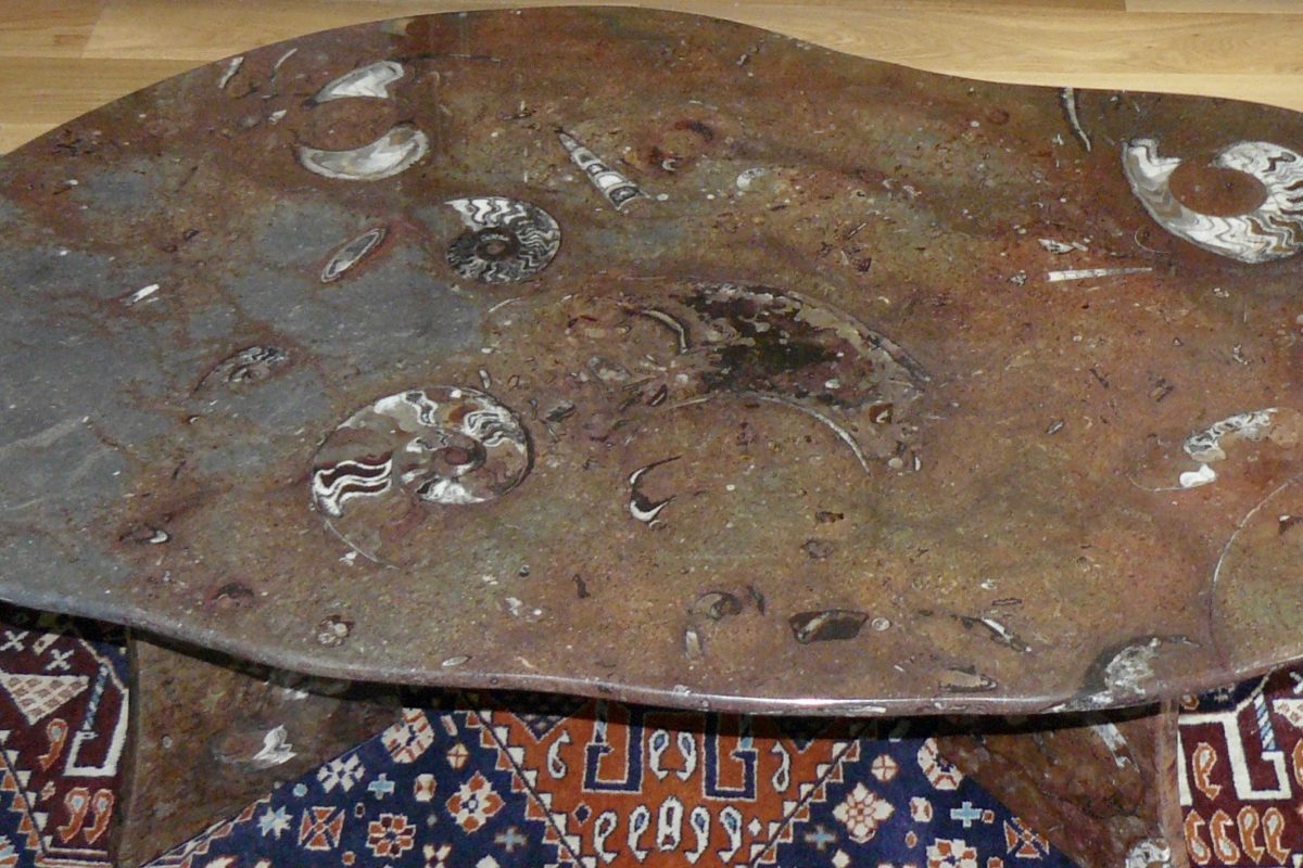Table en pierre d'Erfoud macrofossiles et ses socles en pierre