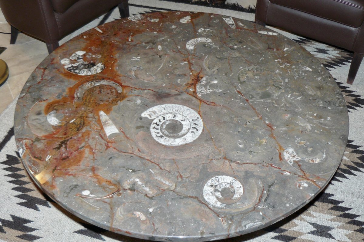Table ronde en pierre d'Erfoud macrofossiles et son socle en fer forgé